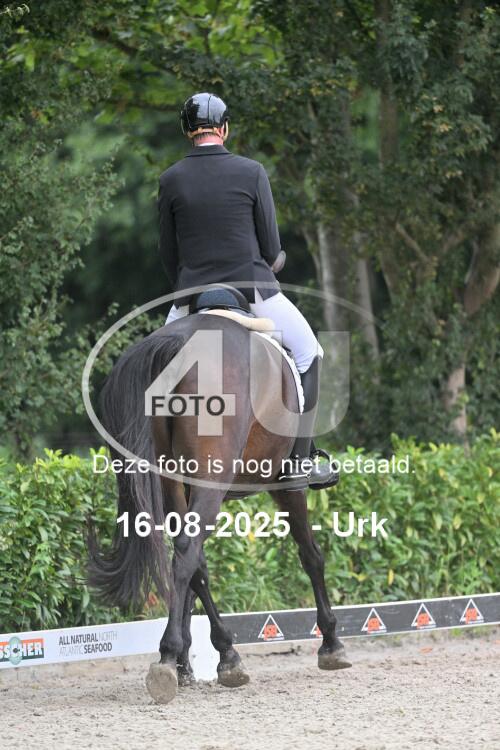250816 1596