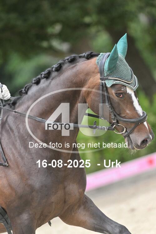 250816 1835