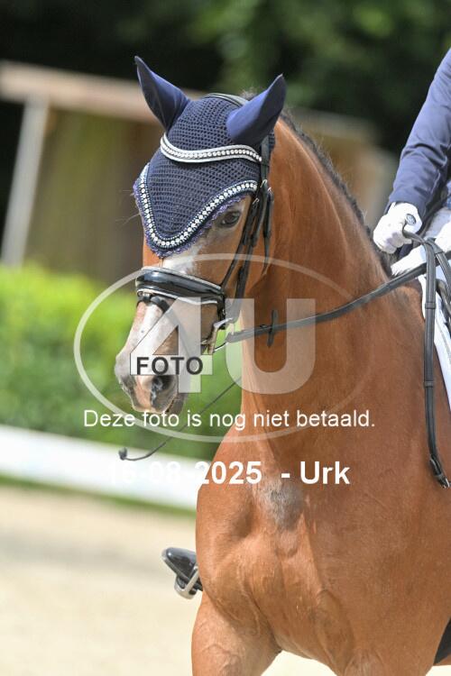 250816 1999