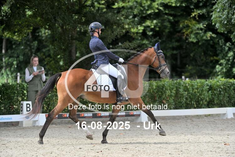 250816 2003