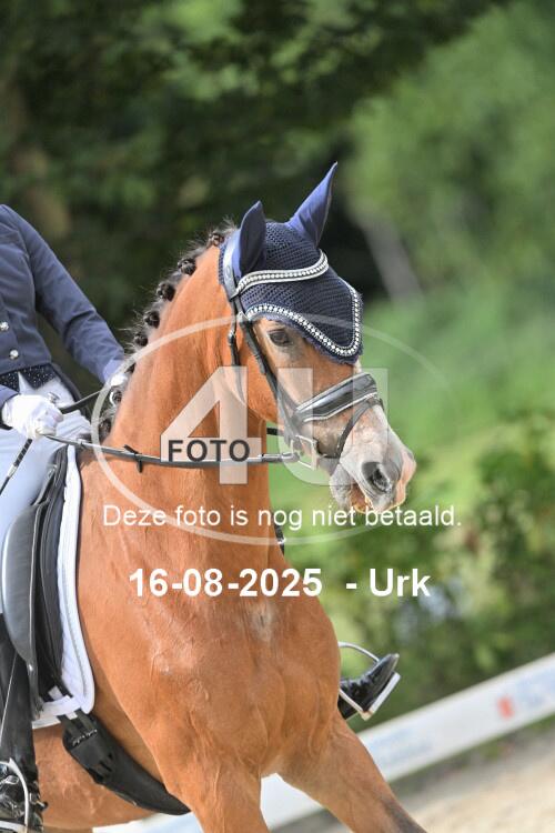 250816 2026