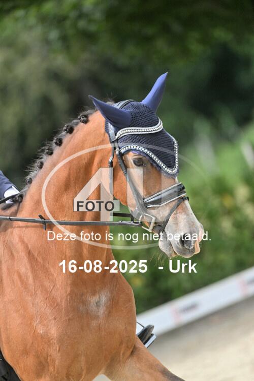 250816 2027