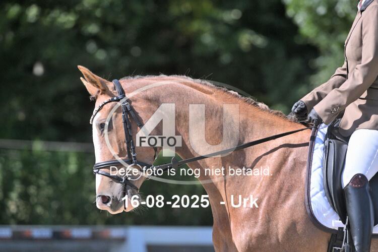 250816 2104