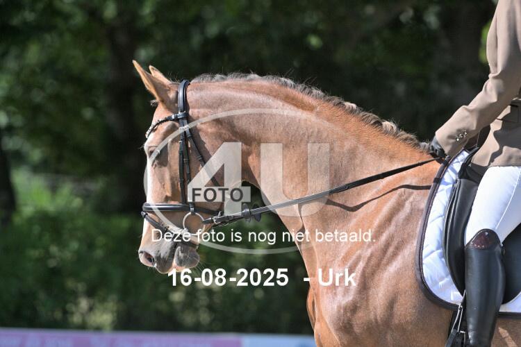 250816 2105