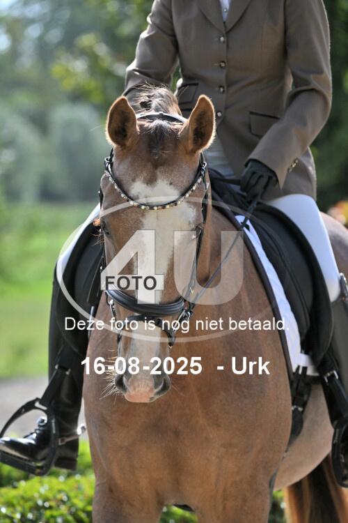 250816 2237