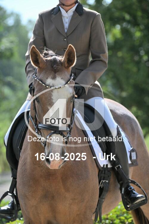 250816 2239