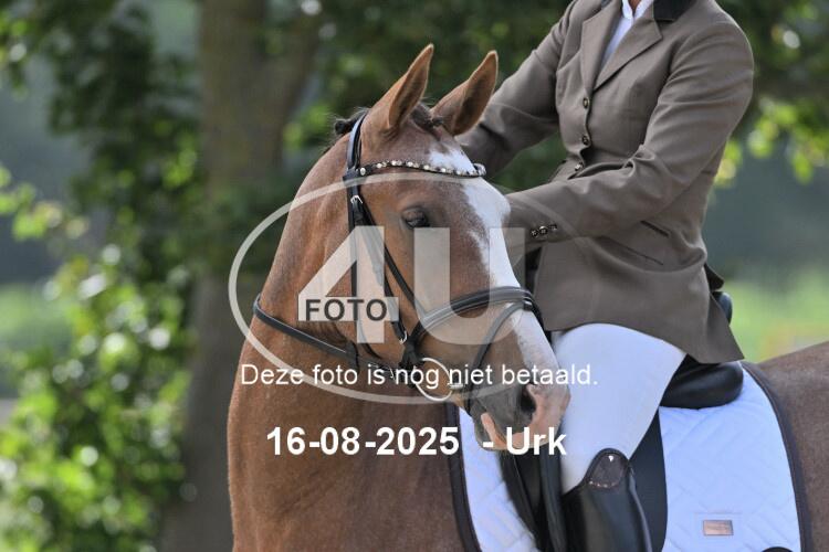 250816 2298