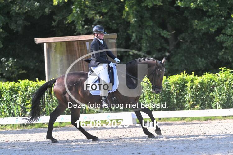 250816 2461