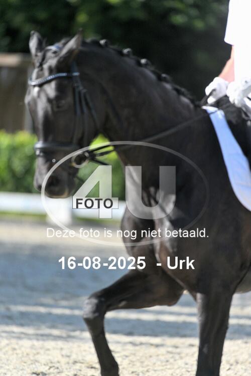 250816 2470