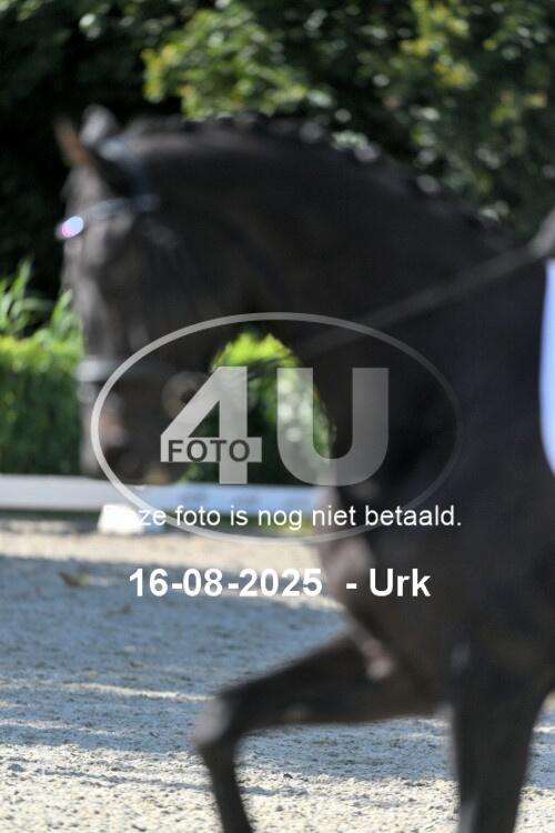 250816 2471