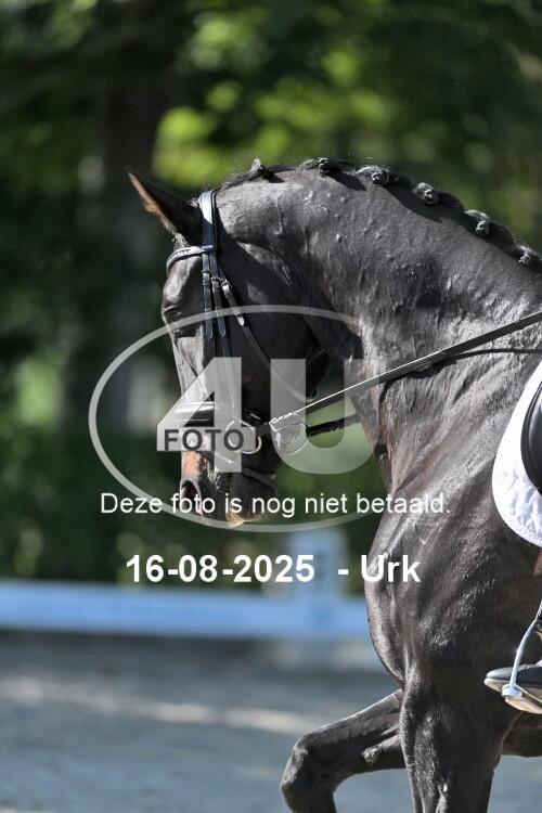 250816 2472