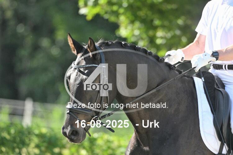 250816 2522