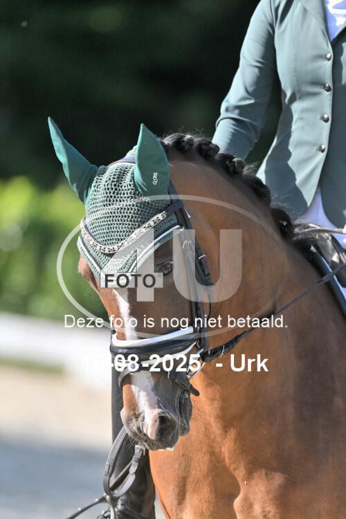250816 2544