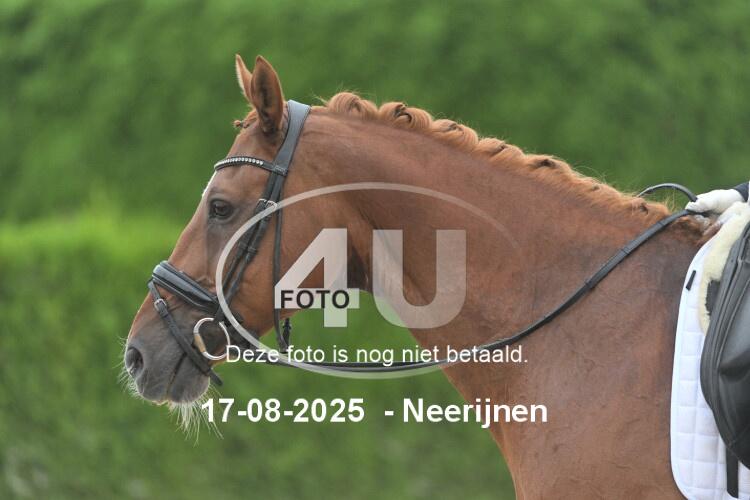 250817 0286
