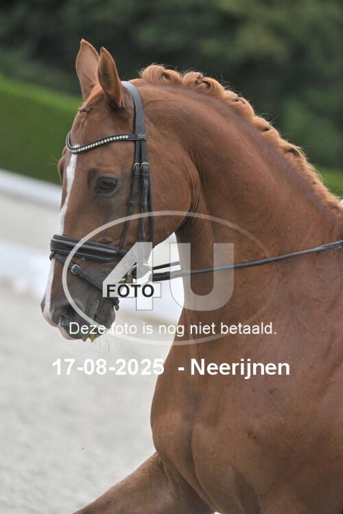250817 0341