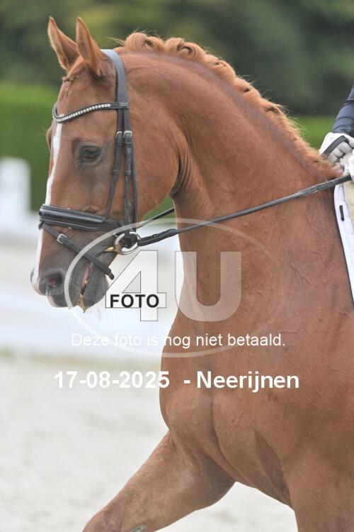 250817 0351