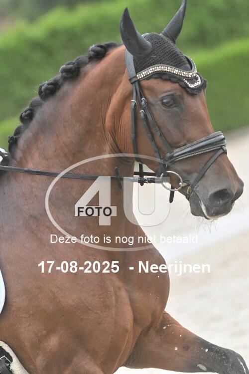 250817 0395