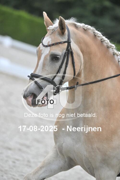 250817 0518