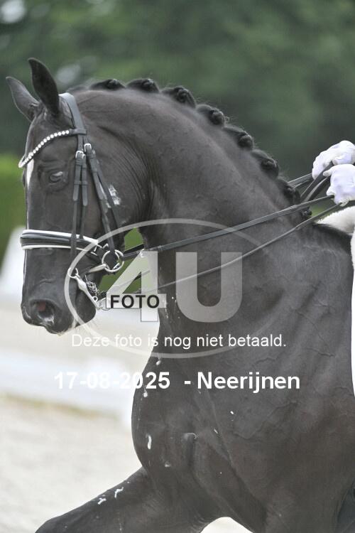 250817 0903