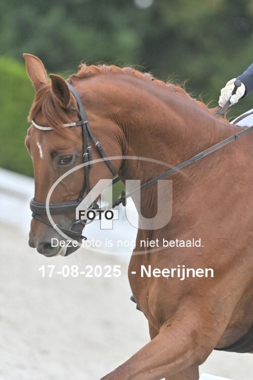 250817 1019