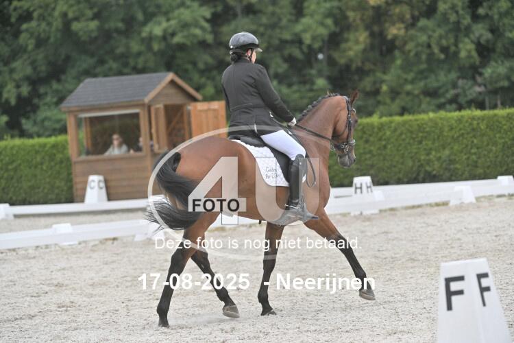 250817 1126