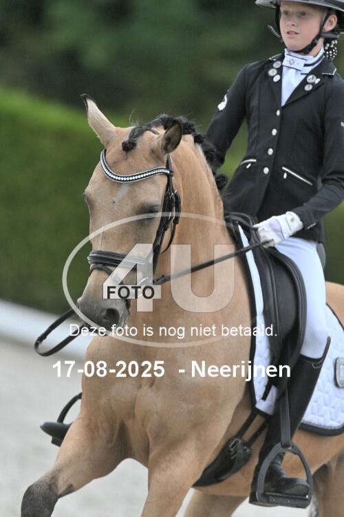 250817 1786