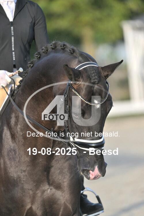 250819 0894
