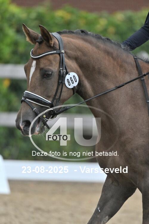 250823 0229