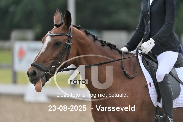 250823 0247