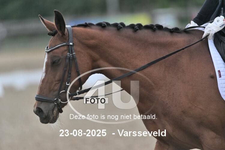 250823 0281