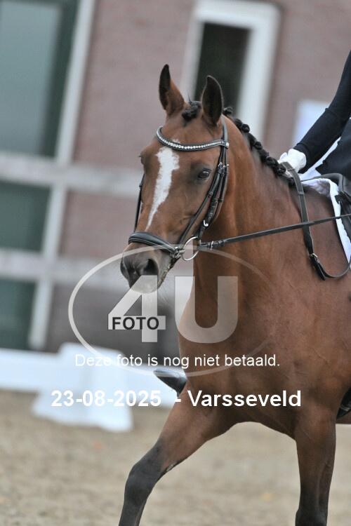 250823 0312