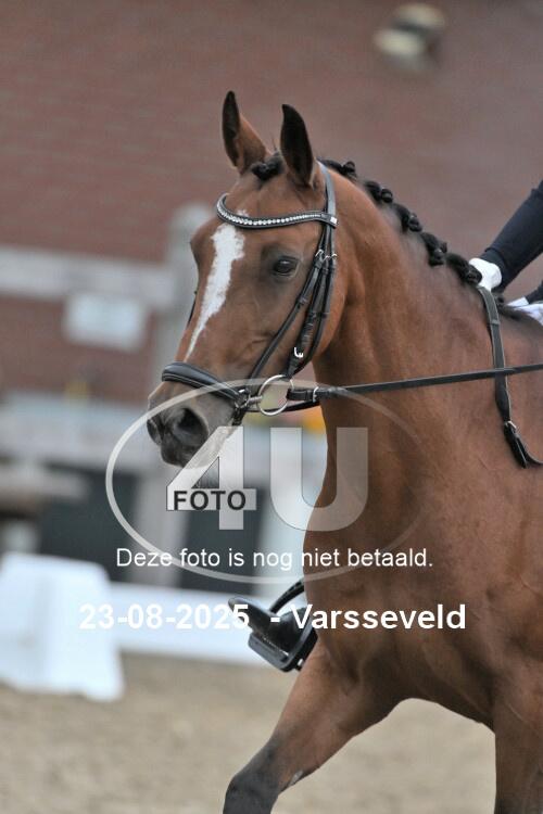 250823 0313