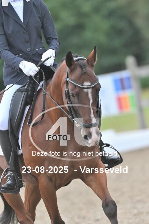 250823 0441