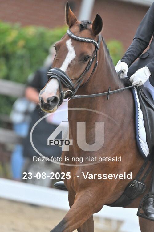 250823 0481