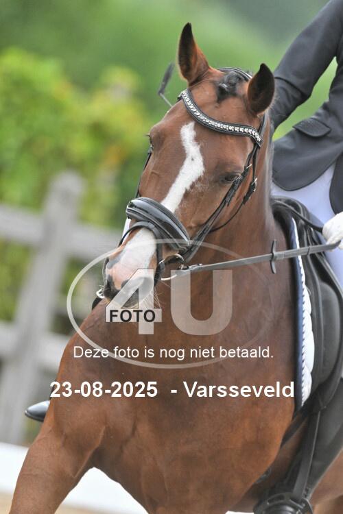 250823 0483