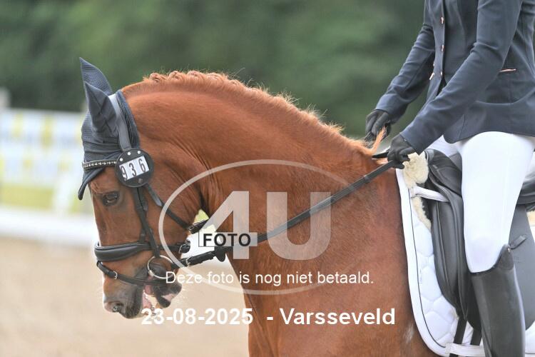 250823 0524
