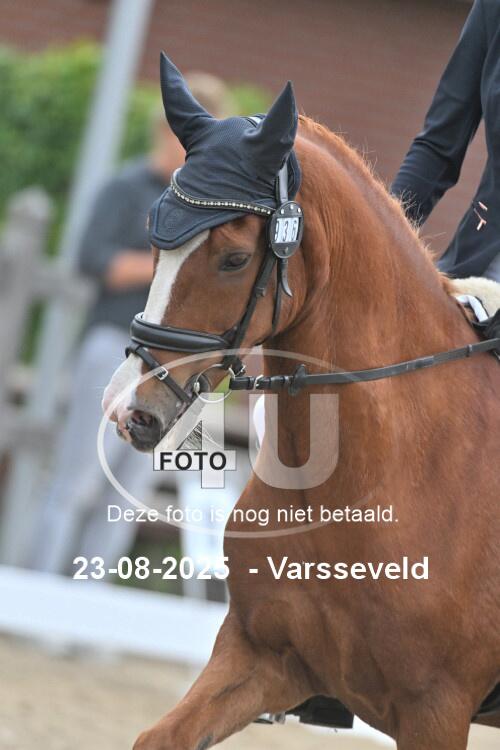 250823 0648