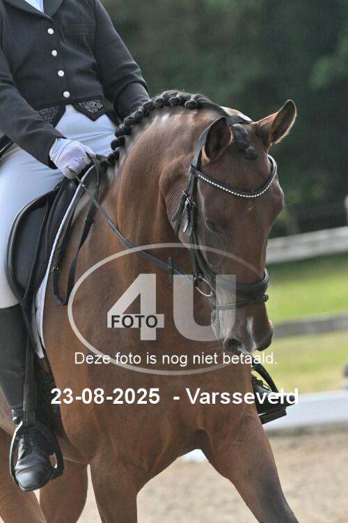 250823 0731