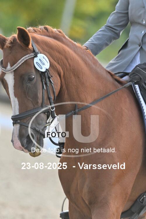 250823 0743