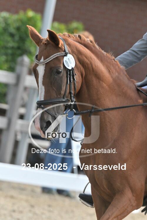 250823 0757