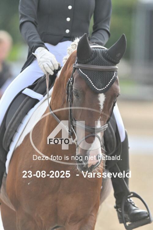 250823 0969