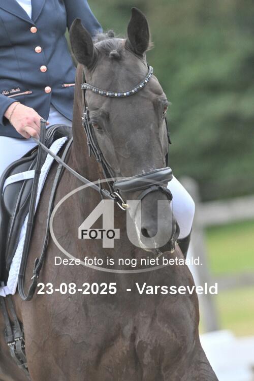 250823 1052