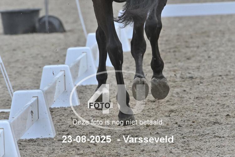 250823 1079