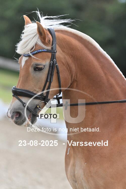 250823 1476