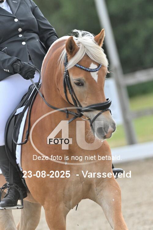 250823 1481