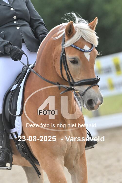 250823 1482