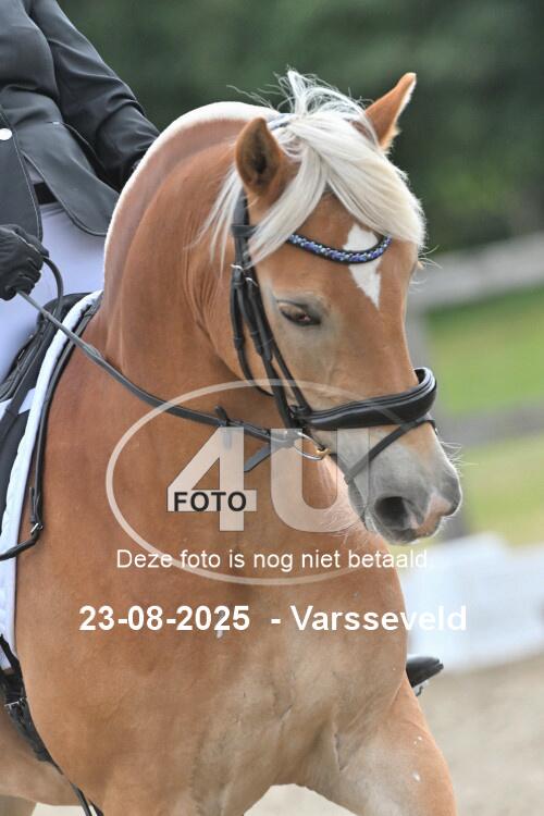 250823 1484