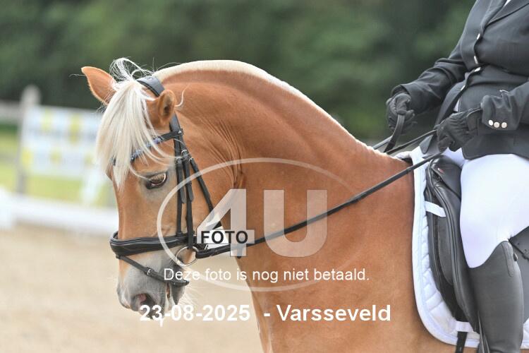250823 1494