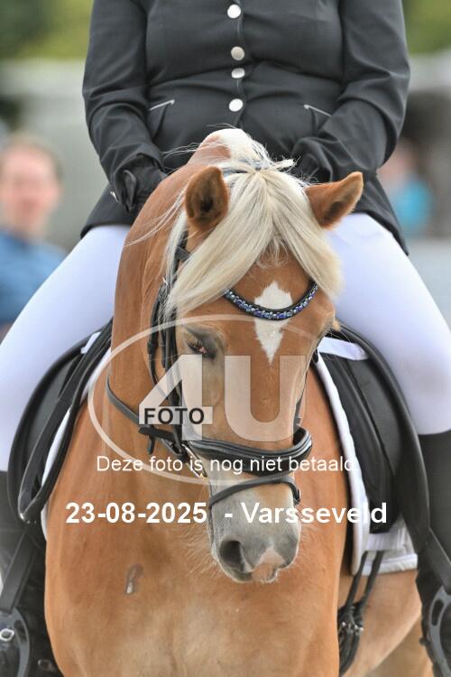 250823 1498
