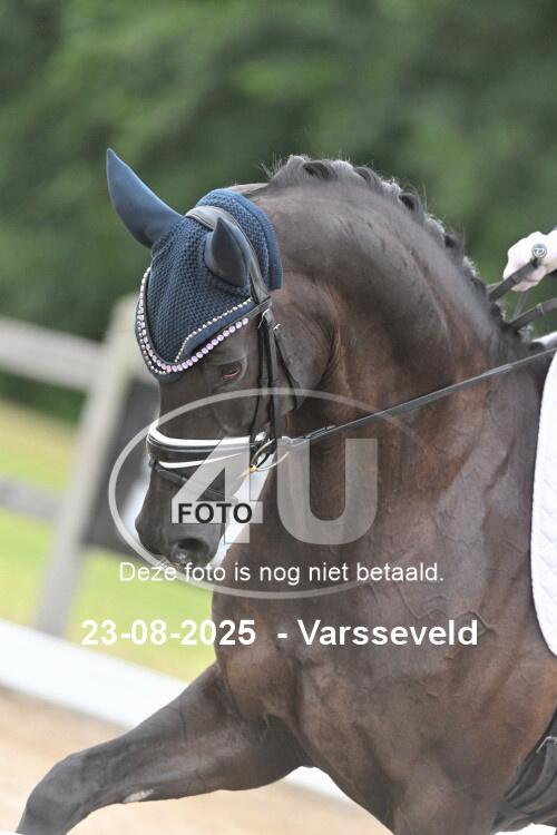 250823 1531